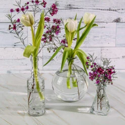 Richland Jolie Vase Set Of 6 -Candle Glow Deals Store 9781 9124 91073 5547 1b313660 2a07 41a8 9f98 ac5c2aed120a