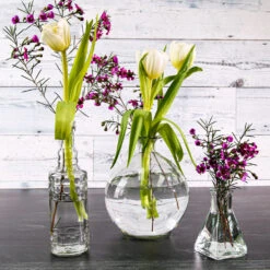 Richland Jolie Vase Set Of 6 -Candle Glow Deals Store 9781 9124 91073 5554 4b37970d 673f 4f19 a009 e607ab7b8cbc