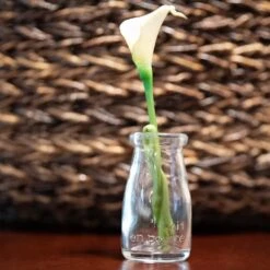 Richland Rhea Bud Vase Set Of 48 5 Richland Rhea Bud Vase Set Of 48 -Candle Glow Deals Store FinalsLifestyle 3 0dc38a17 d80b 4581 a8b9 518a0dc336db