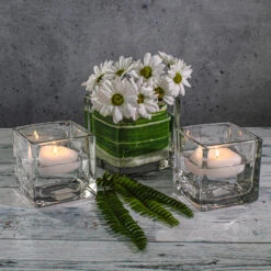 Variegated Aspidistra Leaf 4" Ribbon Green & Cream 50 Yards 11 Variegated Aspidistra Leaf 4" Ribbon Green & Cream 50 Yards -Candle Glow Deals Store FloatingCandle 4799 2 7aa74d3f 6c0a 4535 a0de 32025b44a310