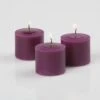 Richland Votive Candles Purple Mulberry Scented 10 Hour Set Of 288