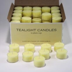 Richland Clear Cup Extended Burn Tealight Candles Light Yellow Unscented Set Of 100