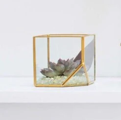 Hira Glass & Brass Terrarium Angled Cube 4.7" -Candle Glow Deals Store anglecube2