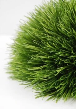 Faux Pine Grass Mound 9in