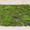 Faux Moss & Fern Tile Square 20in