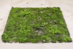 Faux Moss & Fern Tile Square 20in