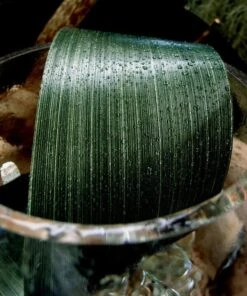 Variegated Aspidistra Leaf Floral Ribbon 4in X 50 Yards Dark Green -Candle Glow Deals Store aspidistra floral ribbon dark green 4 50 1 B