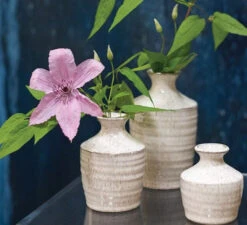 Richland Hari Budvase 3.25" X 4.5" Set Of 4 6 Richland Hari Budvase 3.25" X 4.5" Set Of 4 -Candle Glow Deals Store b0815a5d 6939 4e1b a5c2 27058b77c1c9