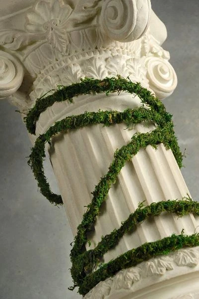 Natural Moss Vine Preserved 12ft 2 Natural Moss Vine Preserved 12ft - Image 2