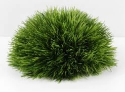 Faux Pine Grass Mound 9in 5 Faux Pine Grass Mound 9in -Candle Glow Deals Store bevfabriccrafts 2229 1697440209