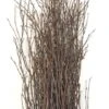 Natural Birch Tree Branches 3-4ft (25 Branches)