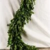 Natural Preserved Boxwood Garland 45in