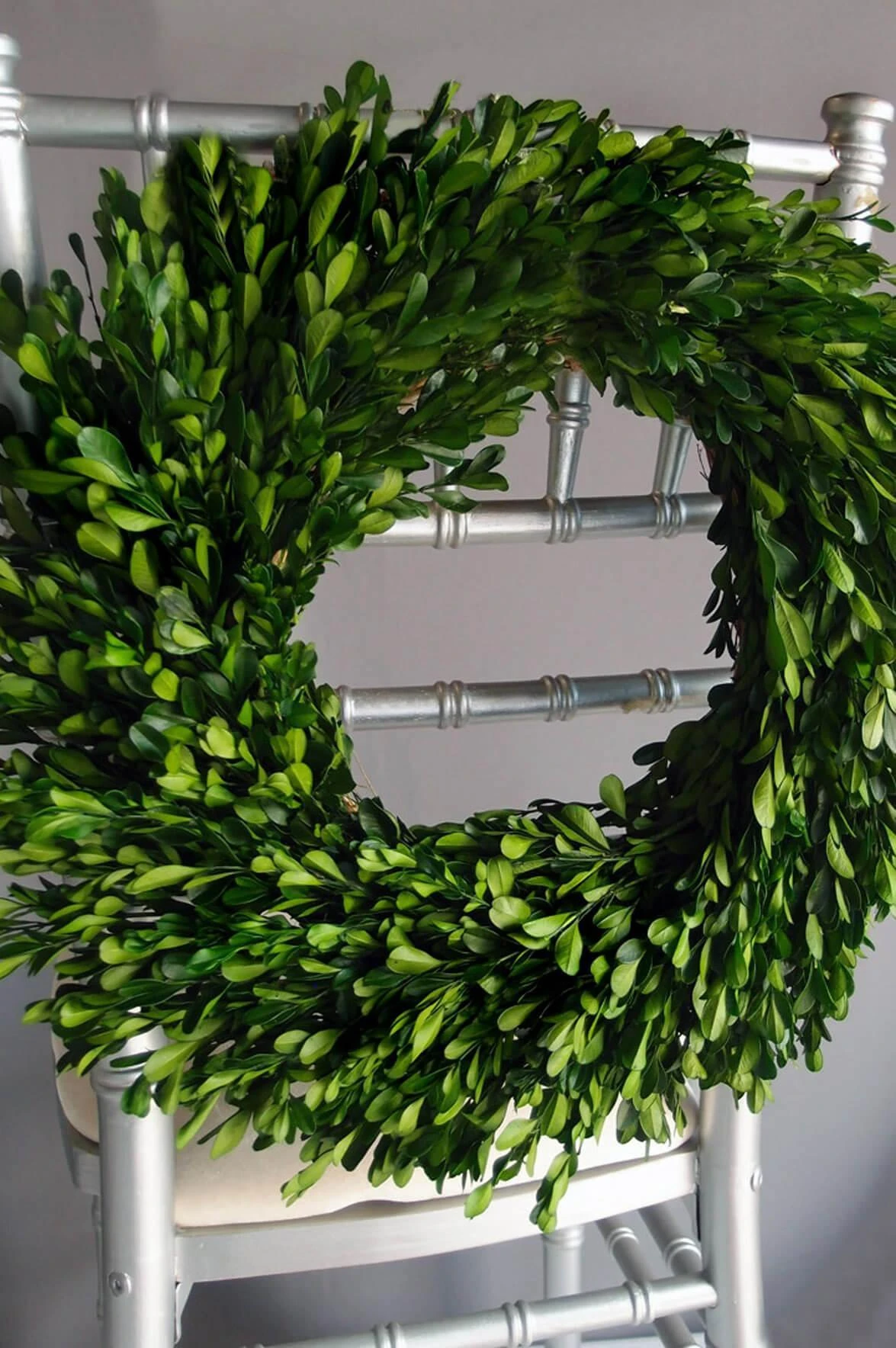 Natural Preserved Round Boxwood Wreath 16in 2 Natural Preserved Round Boxwood Wreath 16in - Image 2