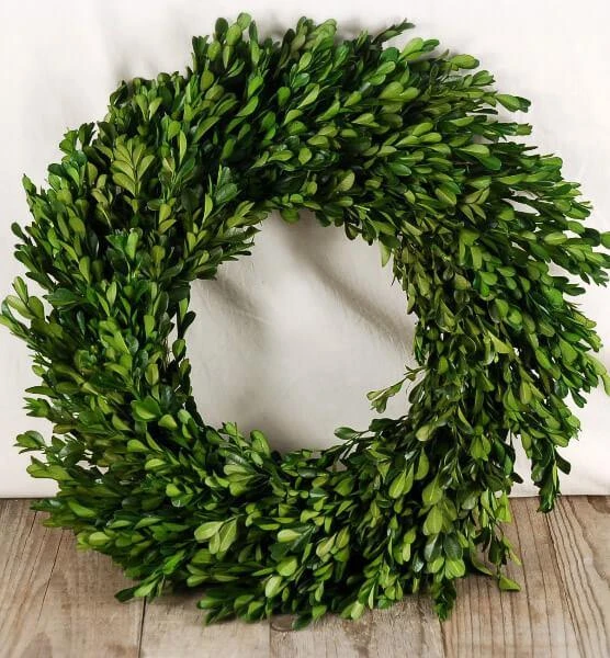 Natural Preserved Round Boxwood Wreath 16in 1 Natural Preserved Round Boxwood Wreath 16in