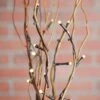5 Battery Operated Natural Willow Lighted Branches, Warm White, 39" Tall