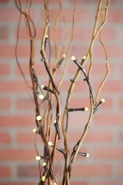 5 Battery Operated Natural Willow Lighted Branches, Warm White, 39" Tall