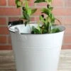 White Enamel 10" Bucket With Swivel Handle