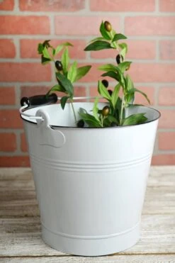 White Enamel 10" Bucket With Swivel Handle