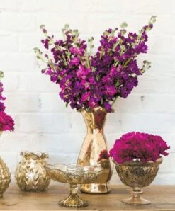 Gold Carraway Vase 5" X 5.25" -Candle Glow Deals Store carraway