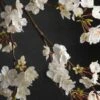 Cherry Blossom Branch 42in White Flower