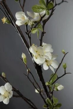 Cherry Blossom Branch 57" Artificial