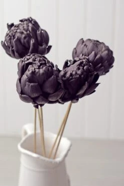 Chico Choke Pod Stems Dark Purple Set Of 5