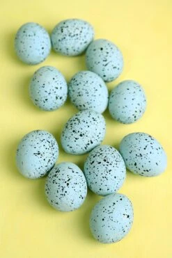 Dozen Ceramic Turquoise Eggs In Box