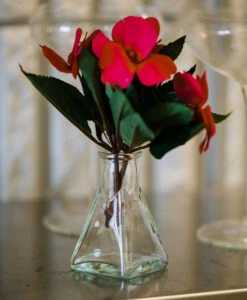 Richland Tempe Bud Vase Set Of 12 -Candle Glow Deals Store f21415e7 a45a 4e0d 9437 54dab3d0f3e7