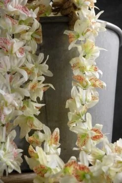 Orchid Flower Leis Dendrobium (set Of 12)