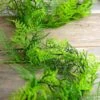 Asparagus Fern Garland Artificial 6ft
