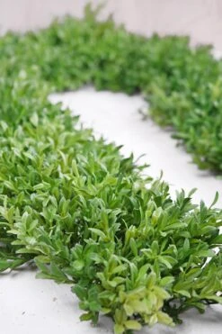 Tea Leaf Mat Garland 6ft