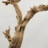 Natural Ghostwood Branch Sandblasted 10-14 In (California Driftwood)