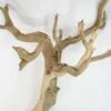 Natural Ghostwood Branch 16-22in Sanded