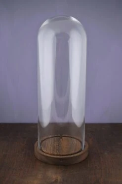 16" Glass Cloche