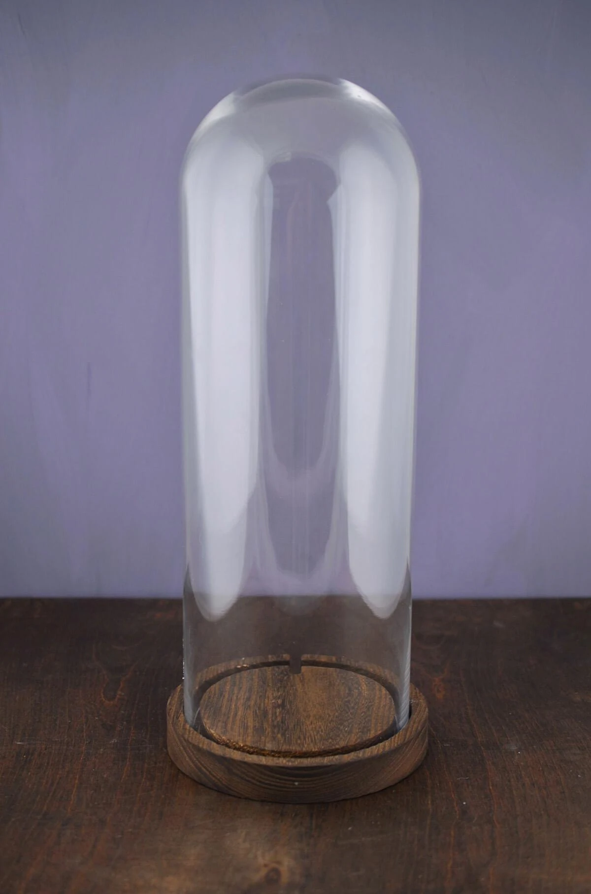 16" Glass Cloche 1 16" Glass Cloche
