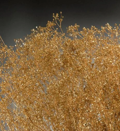 Gold Sparkle Preserved Baby's Breath 24in 4oz Bundle 2 Gold Sparkle Preserved Baby's Breath 24in 4oz Bundle - Image 2