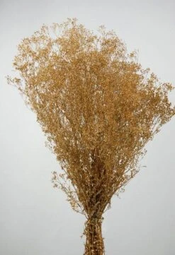 Gold Sparkle Preserved Baby's Breath 24in 4oz Bundle 5 Gold Sparkle Preserved Baby's Breath 24in 4oz Bundle -Candle Glow Deals Store gold sparkle gypsophila babys breath 9