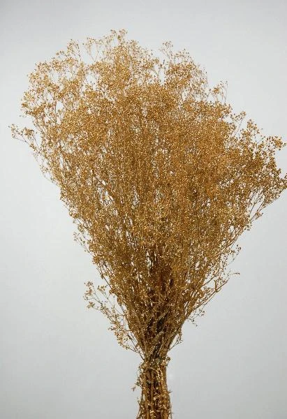 Gold Sparkle Preserved Baby's Breath 24in 4oz Bundle 3 Gold Sparkle Preserved Baby's Breath 24in 4oz Bundle - Image 3