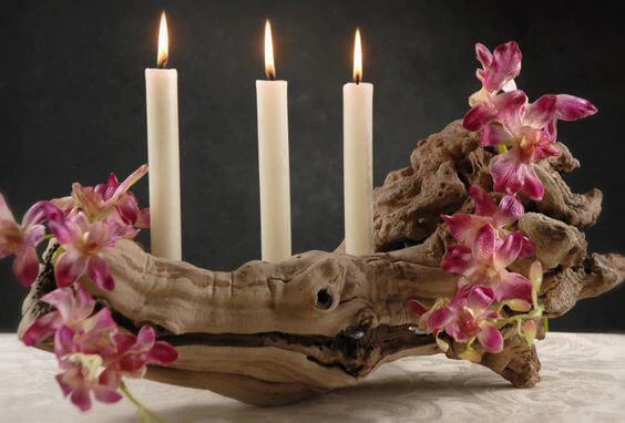 Hollow Grapewood Branch Natural 12in -14in 2 Hollow Grapewood Branch Natural 12in -14in - Image 2