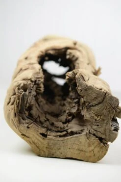 Hollow Grapewood Branch Natural 12in -14in