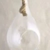 Hanging Glass Terrarium 9in