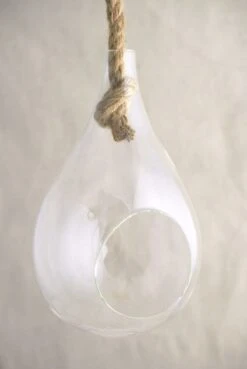 Hanging Glass Terrarium 9in