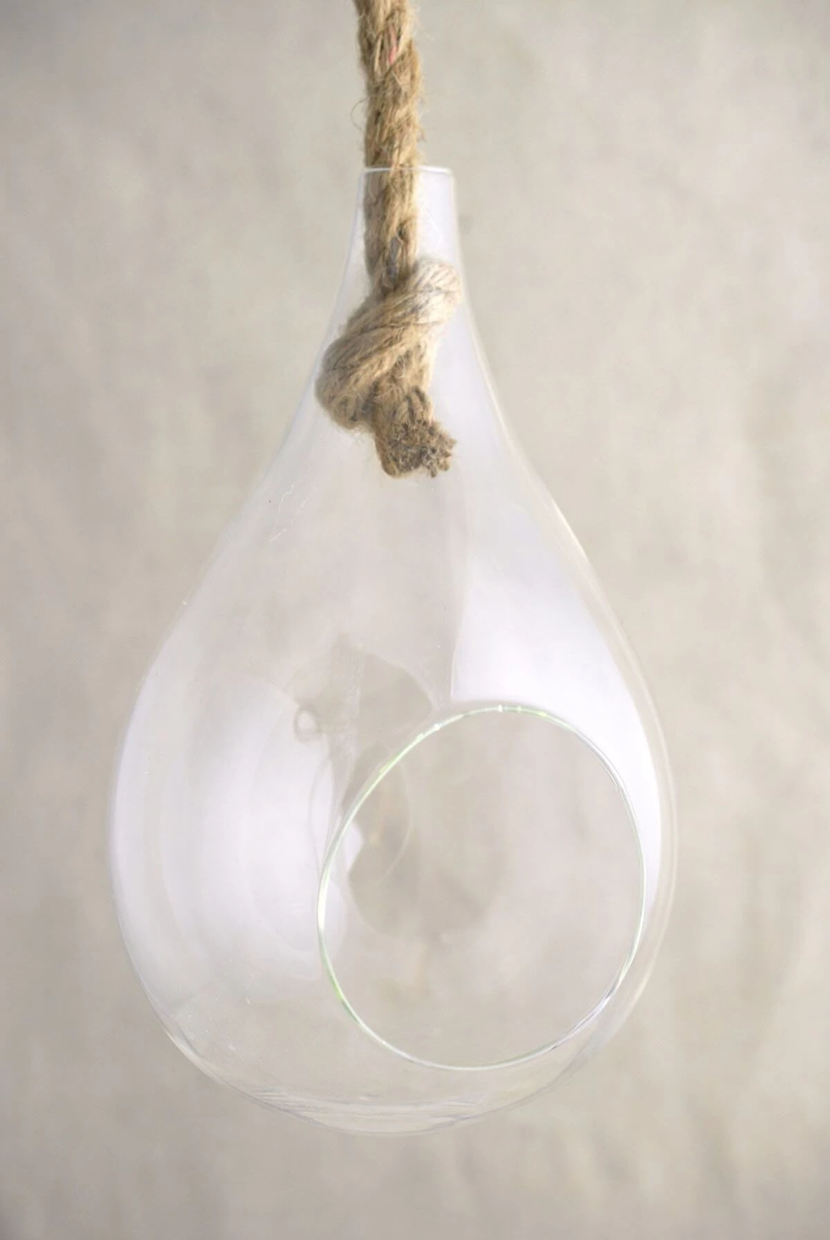 Hanging Glass Terrarium 9in 1 Hanging Glass Terrarium 9in