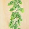 Hops Garland Frosted Green 6ft