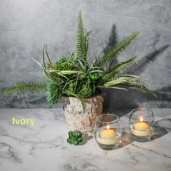 Eastland Grande Hurricane Holders & Richland Floating Candles 2" Set Of 24 -Candle Glow Deals Store ivoryfloat