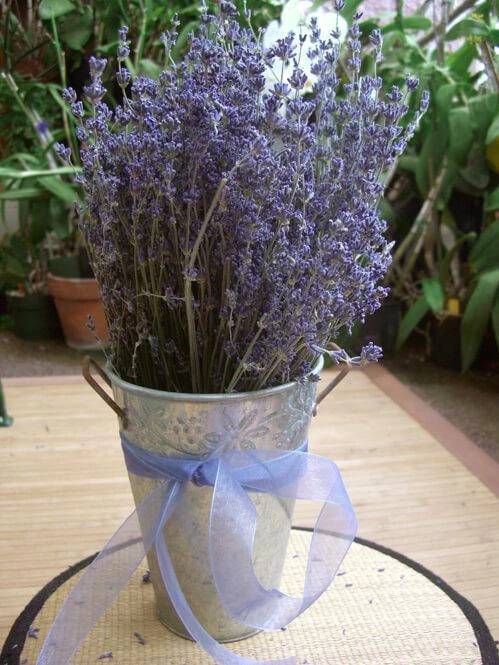 Lavender Flowers Air Dried Premium Blue Fragrant (90+ Stems) 2 Lavender Flowers Air Dried Premium Blue Fragrant (90+ Stems) - Image 2