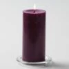 Richland Pillar Candles 3"x6" Purple Set Of 24