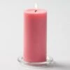 Richland Pillar Candles 3"x6" Pink Set Of 6