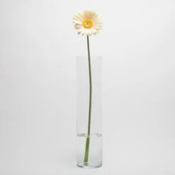 Richland Yellow Gerbera Daisy 24" Set Of 24 -Candle Glow Deals Store mg 3947