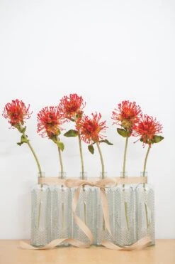 Richland Glass Textured Bottle Set Of 12 8 Richland Glass Textured Bottle Set Of 12 -Candle Glow Deals Store mg 5511 edit 2